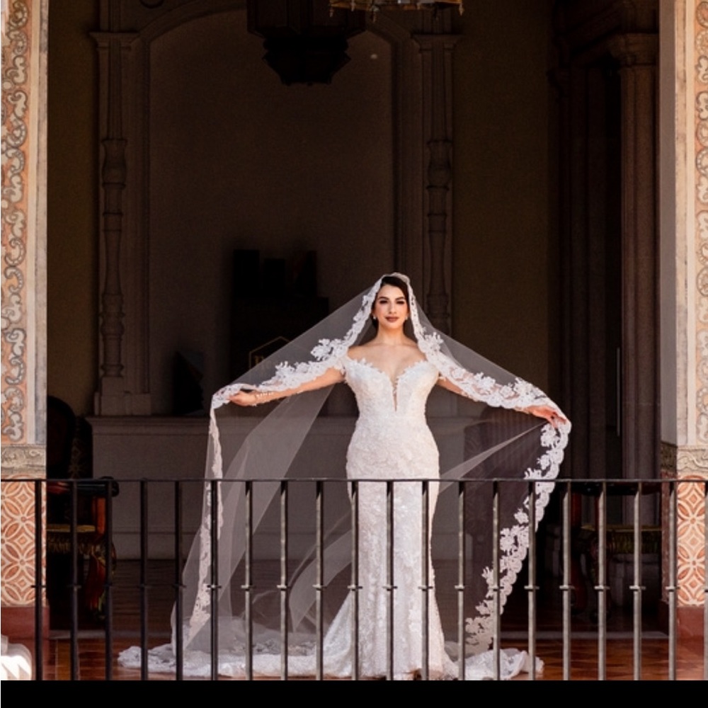 Cathedral Mantilla Veil